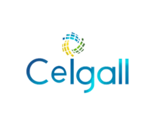 Ceigall-Logo